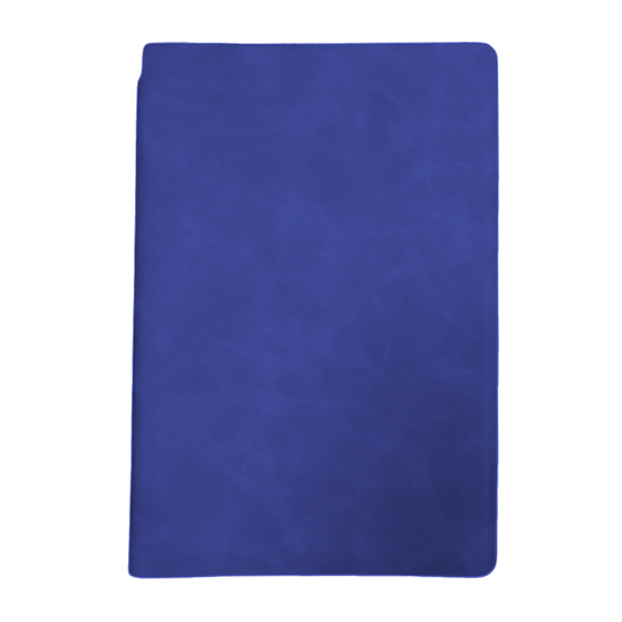 Whiteboard Notebook view 4
